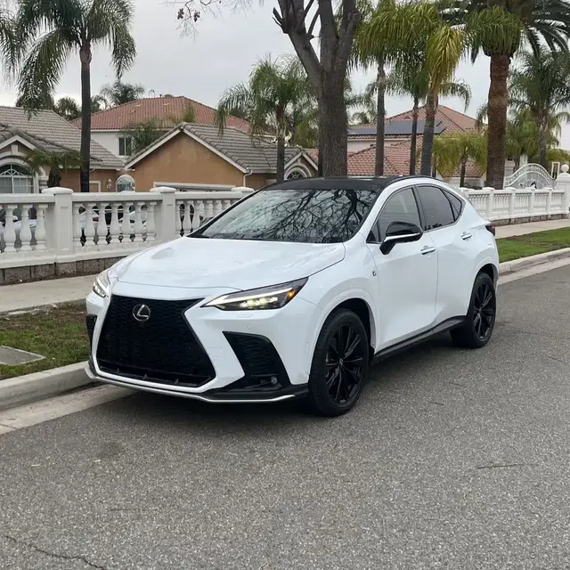 2025 Lexus NX 450h+ F SPORT Handling